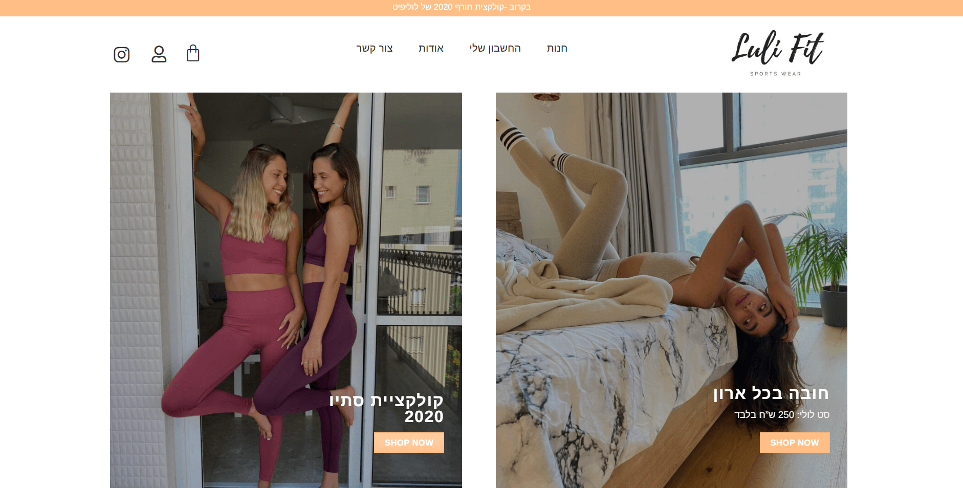 <?php echo esc_html($alt); ?>