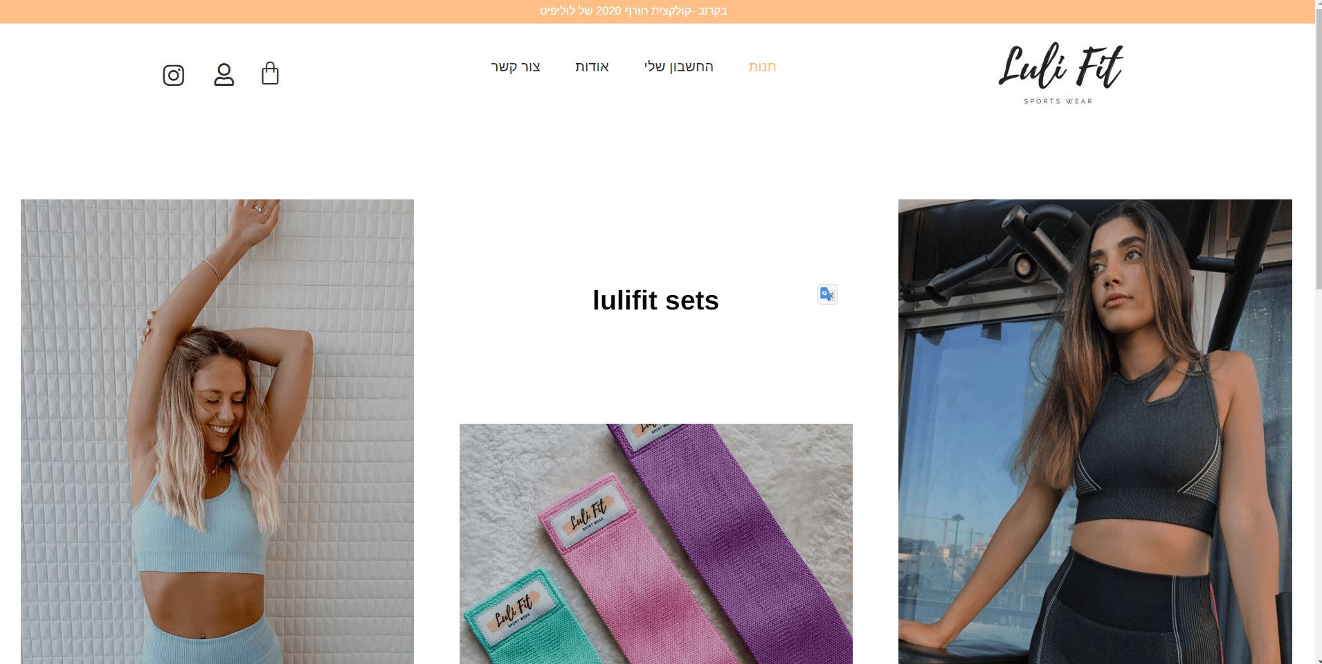 <?php echo esc_html($alt); ?>